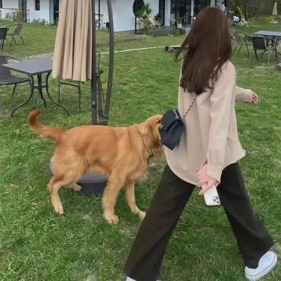 鬼网